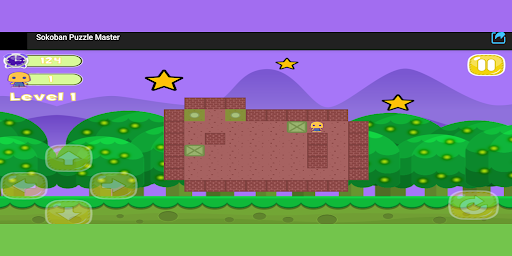Sokoban Puzzle Master screenshot 3